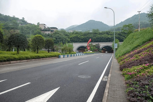 茶园新区发展最新动态，自然之旅的新起点，探索内心平静的奇妙旅程