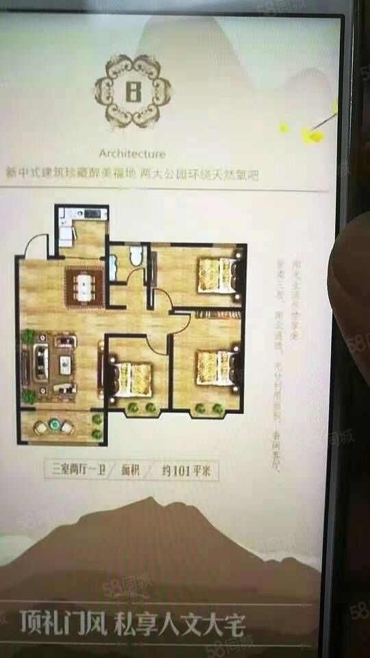 威县租房信息最新更新，最新房源动态速递🔍🏠