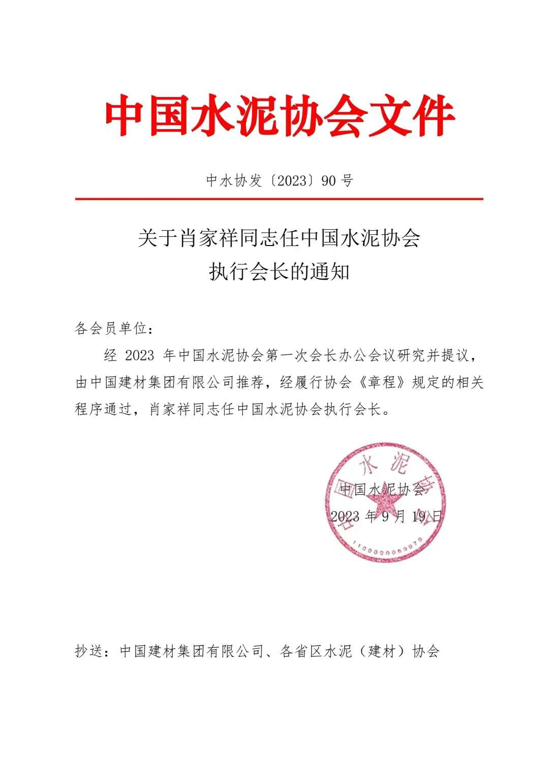 中国水泥协会最新动态，小巷中的水泥艺术特色小店揭秘