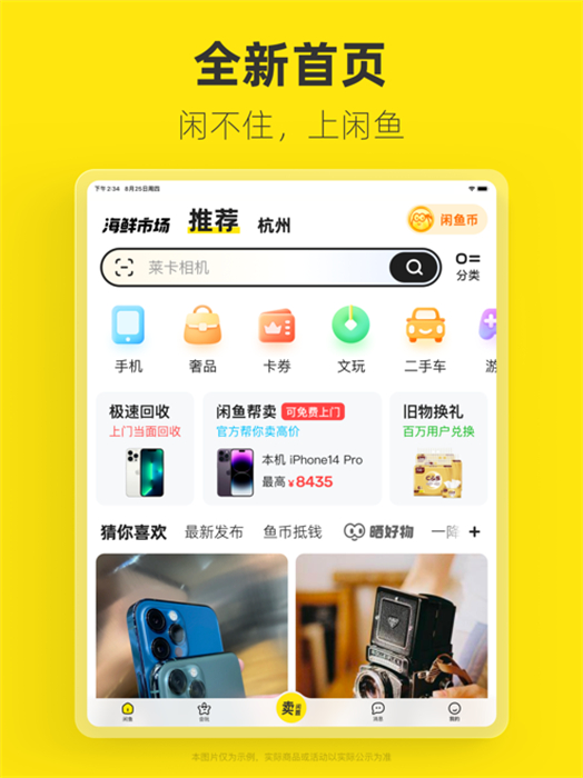 闲鱼最新版本全新体验与功能解析，探索全新特性与优势